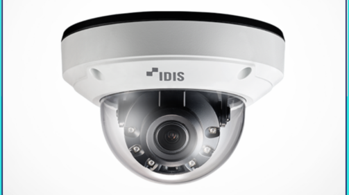 Dolphin CCTV/AI